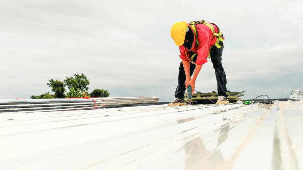 Best Skylight Installation and Repair  in Elida, OH