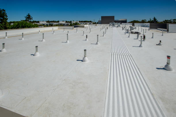 Best Roof Waterproofing  in Elida, OH